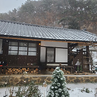 카지노 게임
