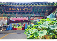 [서울 종로] 조계사 2023 연꽃축제 "나를 깨우는 연꽃향기