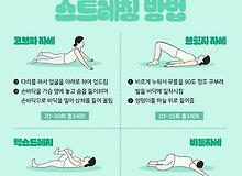 [건강][운동][정보] 숨은 키 3cm 찾는 스트레칭 방법