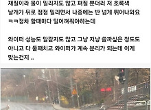 와이퍼 구매 후기 레전드.jpg