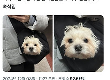 사람들에게 인사받는 방법 ㅋ