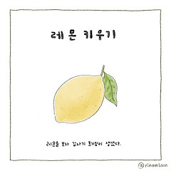 레몬 키우기