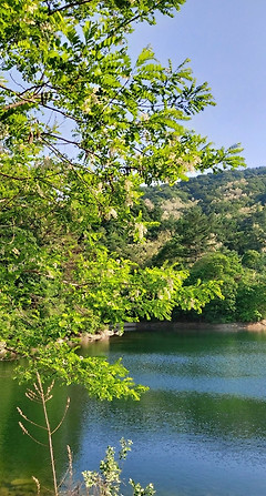 250년 된 느티나무가 지키는 호수