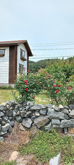 전원주택을 팔았다 2