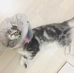 영원한 나의 세살 아기