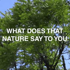 내가 보지 않은 것들을 (나는) 보았다 썸네일