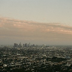 포트폴리오 제출 필수 직군 독자 선생님들께 썸네일