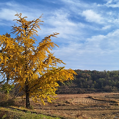고독이라는 이름의 중력 썸네일