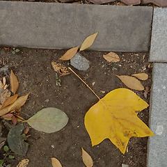 새로운 시작 썸네일