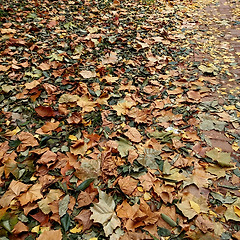 침묵의 행진 썸네일