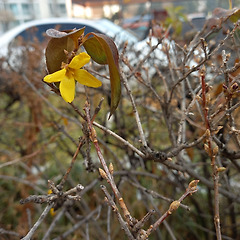 첫눈이 녹은 뒤에  썸네일