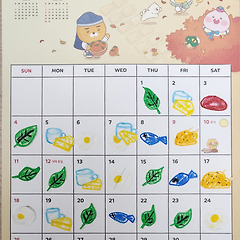 무지개 채식 썸네일