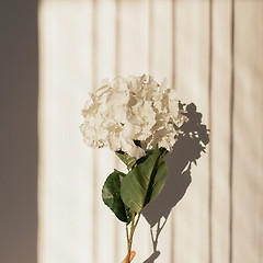 사람이 무서운 사람들 썸네일