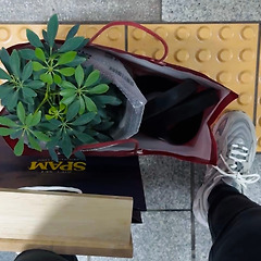 벌써 1년 썸네일