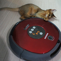 제로클릭 시대의 탈진실 (1) 썸네일