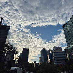 이 세상에서 가장 귀찮은 것 썸네일