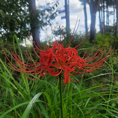 혼자 있어도 괜찮은 오후 썸네일