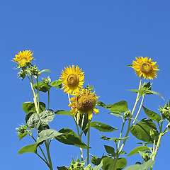 뒤늦은 고백 썸네일