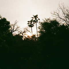 죽은 자의 시선 썸네일