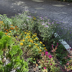 나보다 나의 취향을 더 잘 아는 썸네일