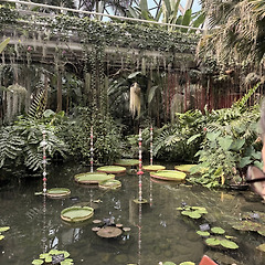 그럼 어떻게 하면 좋지? 썸네일