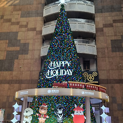 흥미로운 송년모임 썸네일