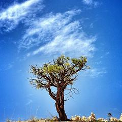 살 빼려고 달리기 하지 마라 썸네일