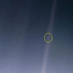 관성의 법칙 썸네일