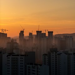 세종시는 균형발전 행복도시가 될 수 있을까?