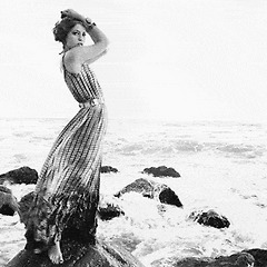 문장의 아포리즘Ⅱ 썸네일