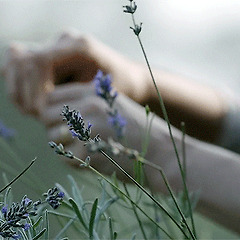 누가 누구를 신었는가 썸네일