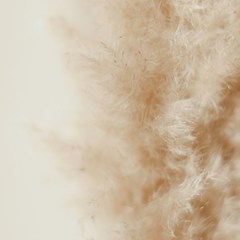 40화. 글과 장면들 썸네일