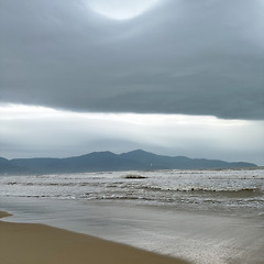 다낭에서 만난 그분  썸네일