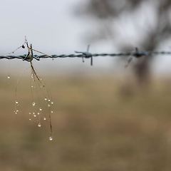 웹페이지 전체 캡처하기 썸네일