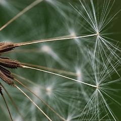 소프트웨어 버튼 사용하기 썸네일