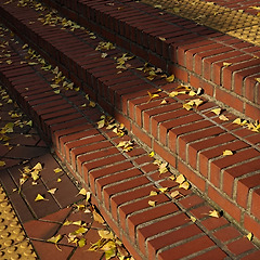 순례자는 감사한다 썸네일