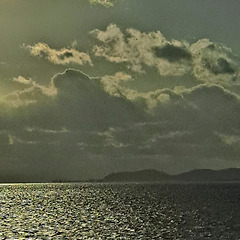 묶지 말고 풀어야 하는 말 썸네일