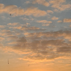 떠난 만큼 공간은 나타난다 썸네일