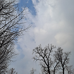 마지막으로 보이는 건 온통 처음 썸네일