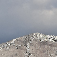 실망스럽지 않은 헤매임 썸네일