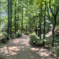 23. 집으로 썸네일