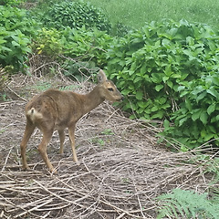 우리는 자연의 이치에 맞게 살고 있는가? 썸네일