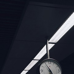 가장 바빴던 학기가,  가장 성적이 좋았다 썸네일