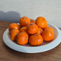 장보기의 일원화는 가능할까 썸네일