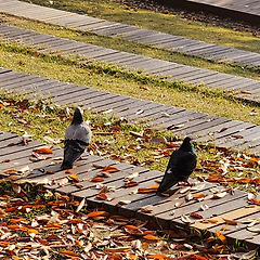 배우자 관심사에 귀 기울일 때 생기는 4가지 변화 썸네일