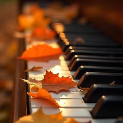 조성진 쇼팽 발라드 No.4, Op.52 썸네일