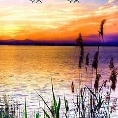 [휴머니즘으로 시의 관찰] 썸네일