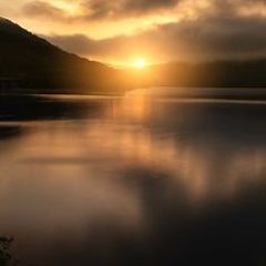 [만네리즘의 시적 함정] 썸네일