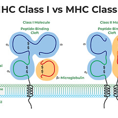 21세기 첨단의료 3부 7장 1화 썸네일
