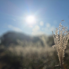 사랑은 희다 썸네일